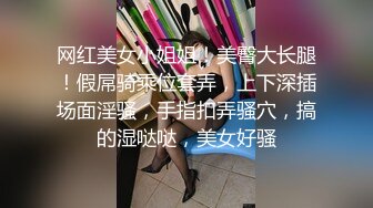 网红美女小姐姐！美臀大长腿！假屌骑乘位套弄，上下深插场面淫骚，手指扣弄骚穴，搞的湿哒哒，美女好骚