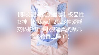 【群交派对视觉盛宴】极品性女神『Meaw』2023性爱群交私拍 狂野小浪逼真抗操几个J8轮番上阵 (1)