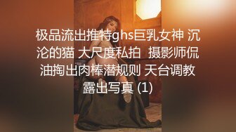 极品流出推特ghs巨乳女神 沉沦的猫 大尺度私拍  摄影师侃油掏出肉棒潜规则 天台调教露出写真 (1)