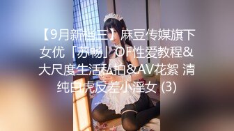 【9月新档三】麻豆传媒旗下女优「苏畅」OF性爱教程&大尺度生活私拍&AV花絮 清纯白虎反差小淫女 (3)